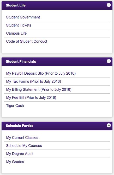 mydlsu portal|lsus student portal.